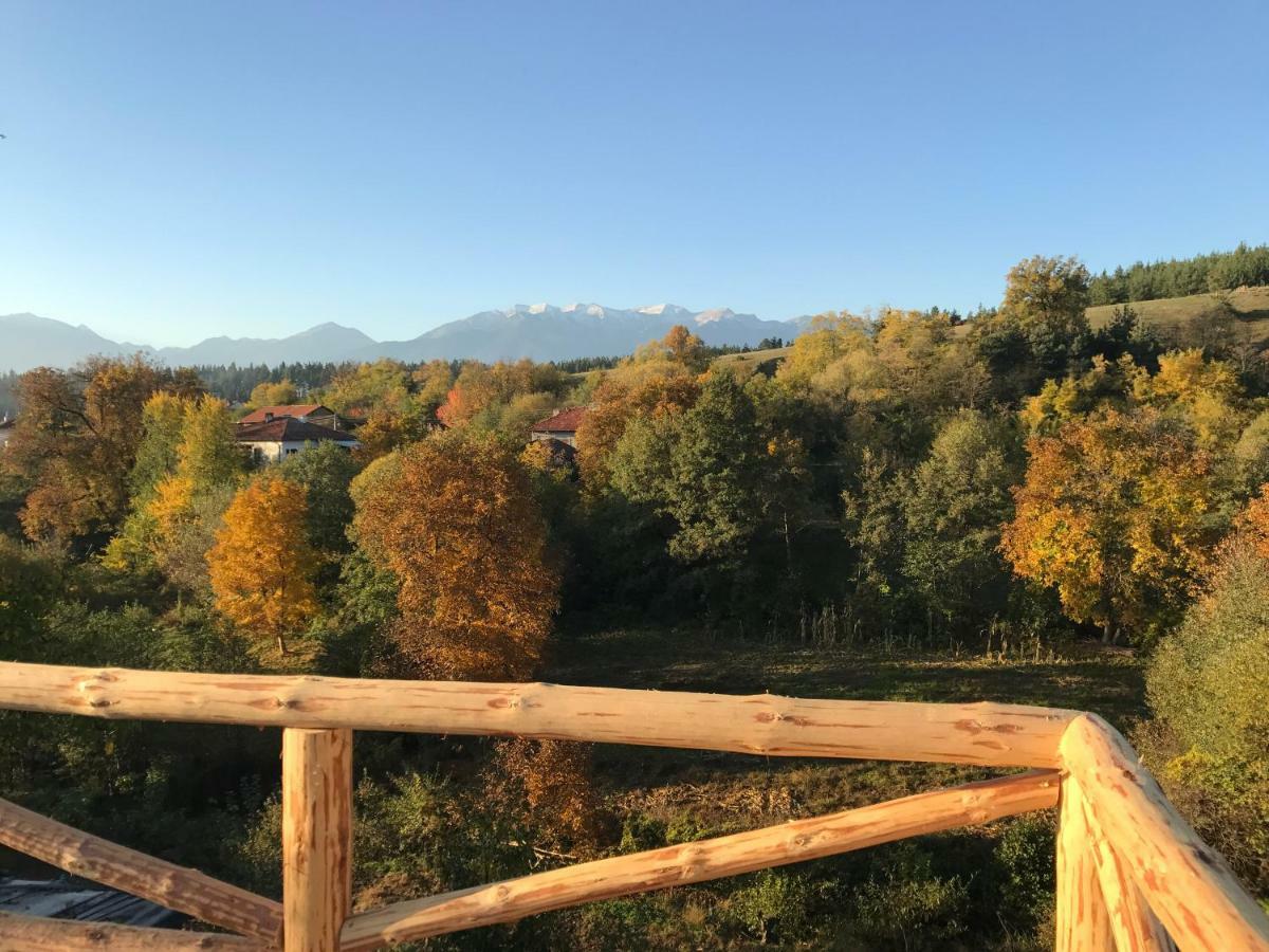 Das Landhaus Bachevo  Luaran gambar